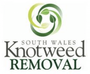 Knotweed Treatment and Control Port Talbot
