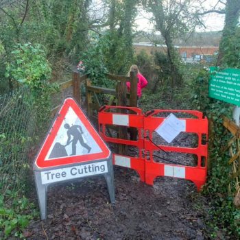 Footpath closed for tree cutting