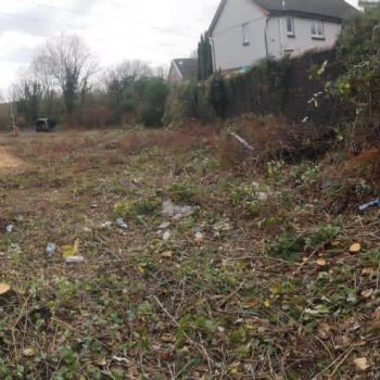 knotweed and brambles site clearance after photo
